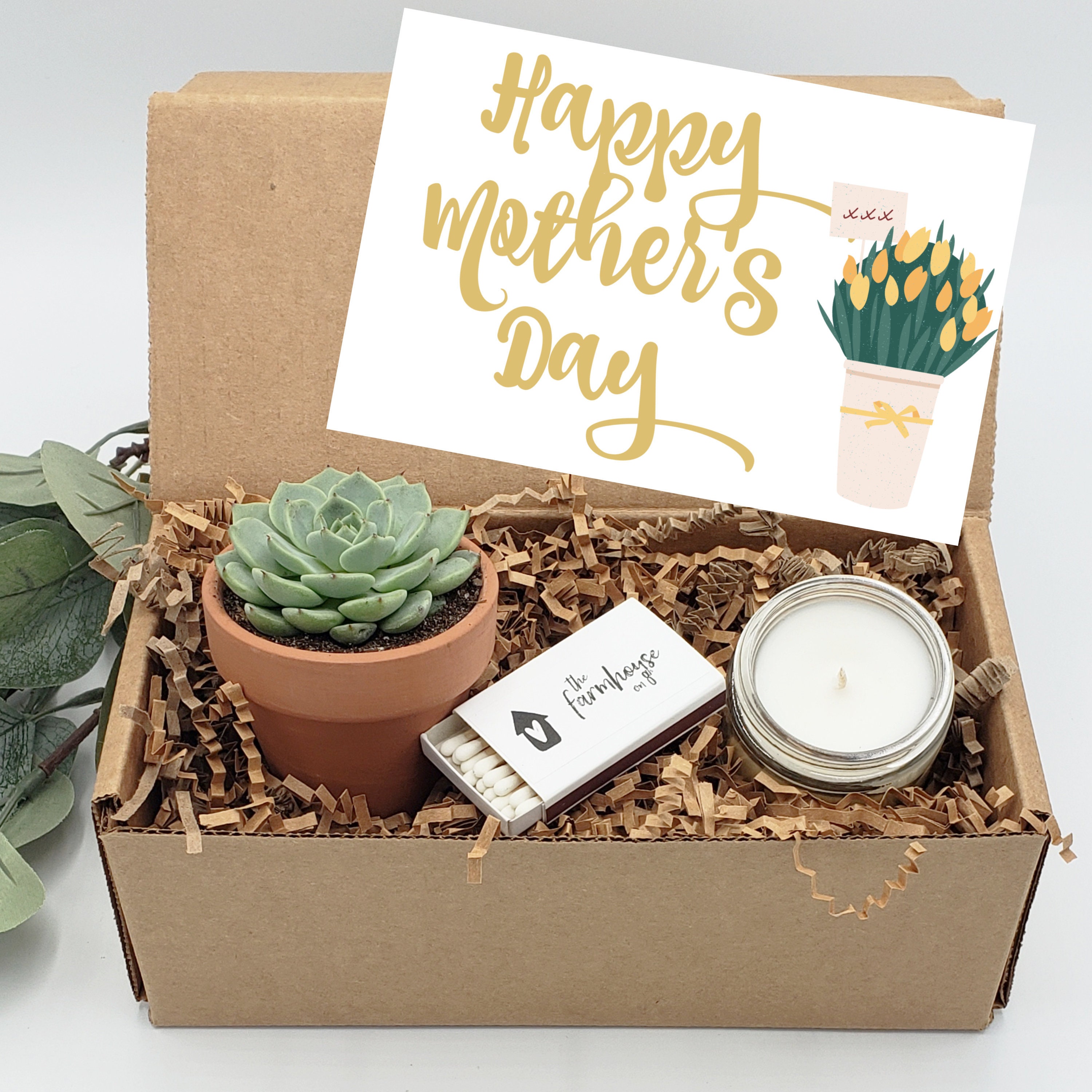 Mothers Day Gift Box Candle Gift Box Live Succulent Gift Etsy