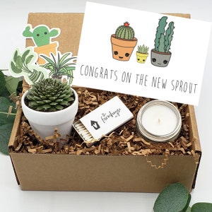 New Baby Gift Box, Congrats On Your New Baby, New Mama Succulent Gift Box, Congratulations Pregnancy Gift Set, Live Succulent Care Package