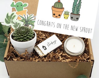 New Baby Gift Box, Congrats On Your New Baby, New Mama Succulent Gift Box, Congratulations Pregnancy Gift Set, Live Succulent Care Package