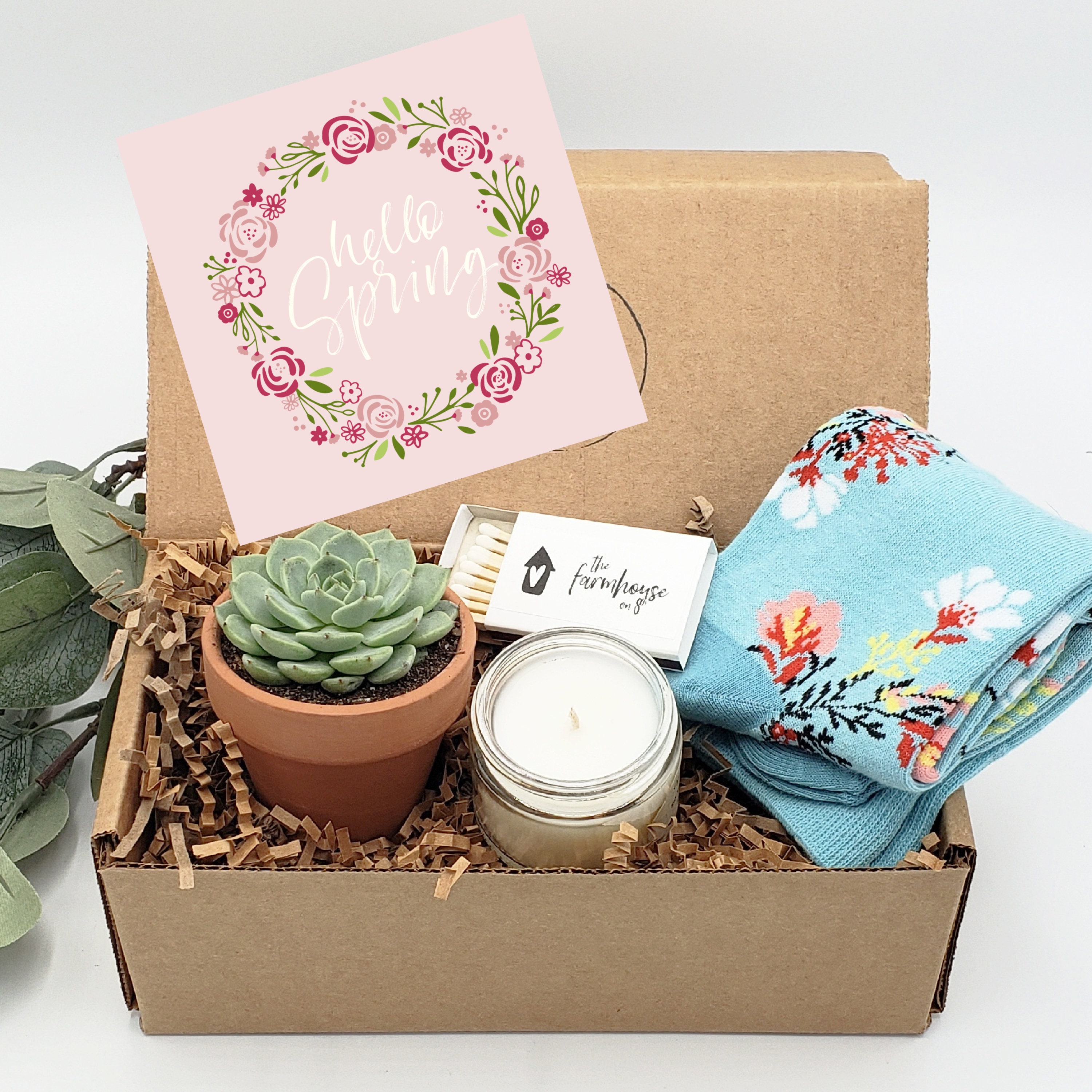 Hello Spring Gift Box Spring Succulent Gift Box For Her Etsy