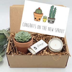 New Baby Succulent Gift Box, Care Package, New Mama Gift Box, New Mom Gift Basket, Best Friend Gift, Congratulations Pregnancy Gift Basket