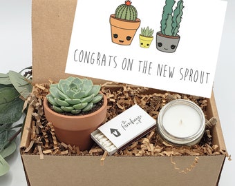 New Baby Succulent Gift Box, Care Package, New Mama Gift Box, New Mom Gift Basket, Best Friend Gift, Congratulations Pregnancy Gift Basket