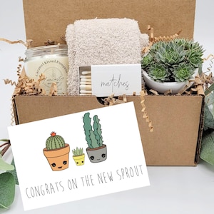 New Baby Gift Box, Congrats On Your New Baby, New Mama Succulent Gift Box, Congratulations Pregnancy Gift Set, Live Succulent Care Package