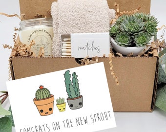 New Baby Gift Box, Congrats On Your New Baby, New Mama Succulent Gift Box, Congratulations Pregnancy Gift Set, Live Succulent Care Package