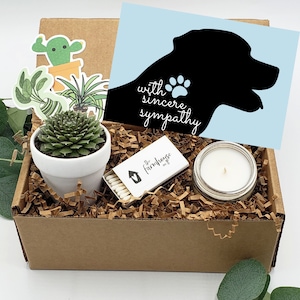 Pet Sympathy Basket, Dog Sympathy Gift, Pet Loss Gift Box, Pet Memorial Gift Box, Dog Loss Gift, Dog Condolence Gift, Succulent Pet Gift