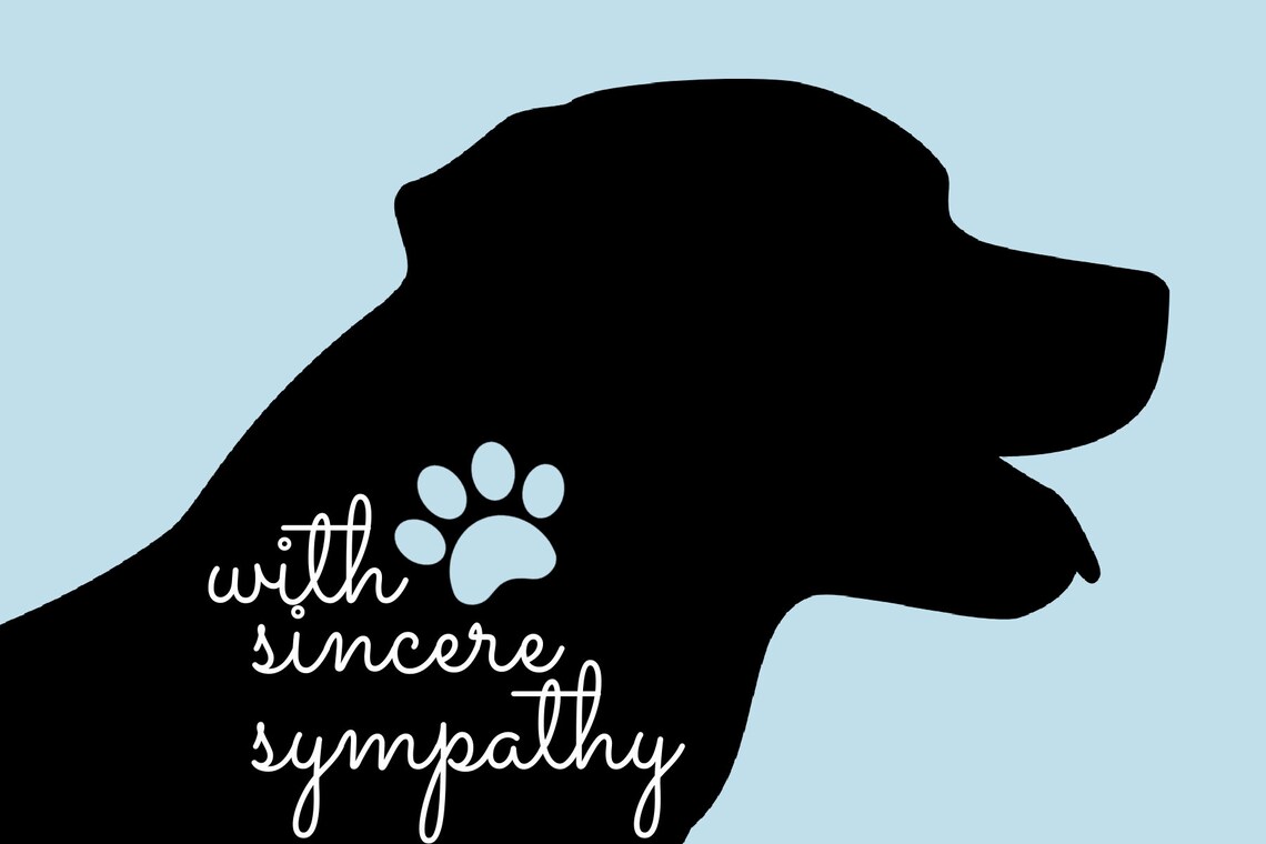 Pet Sympathy Basket Dog Sympathy Gift Pet Loss Gift Box Pet Etsy