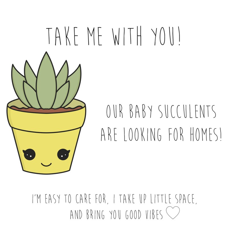Succulent Gift Box Birthday Gift Box Care Package For Friend Quarantine Birthday Custom Gift Happy Birthday Succulent Gift Friend Gift