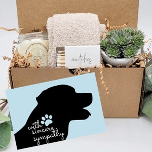 Pet Sympathy Basket, Dog Sympathy Gift, Pet Loss Gift Box, Pet Memorial Gift Box, Dog Loss Gift, Dog Condolence Gift, Succulent Pet Gift image 1