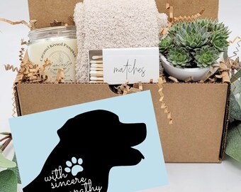 Pet Sympathy Basket, Dog Sympathy Gift, Pet Loss Gift Box, Pet Memorial Gift Box, Dog Loss Gift, Dog Condolence Gift, Succulent Pet Gift