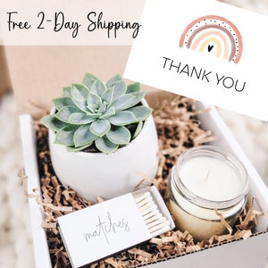 Thank You Succulent Gift Box, A Big Thank You Gift Box, Friend Appreciation Gift, Send a Gift, Thank You So Much, Succulent Care Package