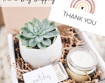 Thank You Succulent Gift Box, A Big Thank You Gift Box, Friend Appreciation Gift, Send a Gift, Thank You So Much, Succulent Care Package