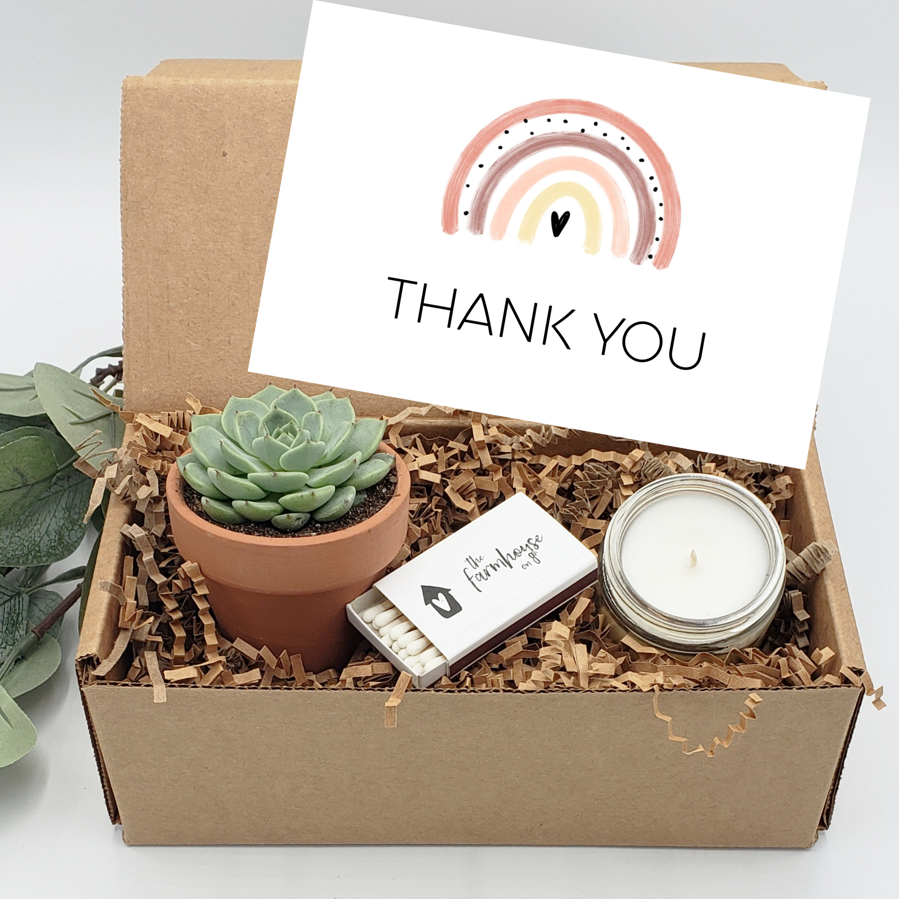 Thank You Succulent Gift Box A Big Thank You Gift Box Friend Etsy