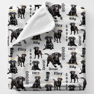 Two Dogs Labrador With Halo Custom Dog Memory Gift, Dog Remembrance Gift, Black Lab Dog Gifts, Black Labrador Mom Gift, Dog Loss Keepsake