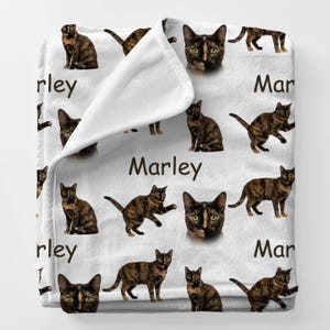 May include: A set of three ceramic pumpkins in varying sizes and autumnal colors: orange, cream, and brown. Each pumpkin has a textured surface and a curved stem. Perfect for fall decor.