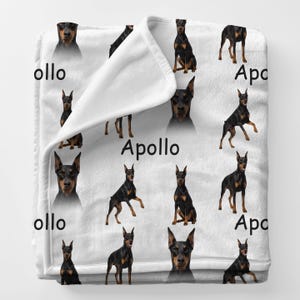 May include: White blanket featuring a repeating pattern of black and brown Doberman Pinscher dogs in various poses. The word "Apollo" is printed in black on the blanket. The blanket is made of a soft, plush material.
