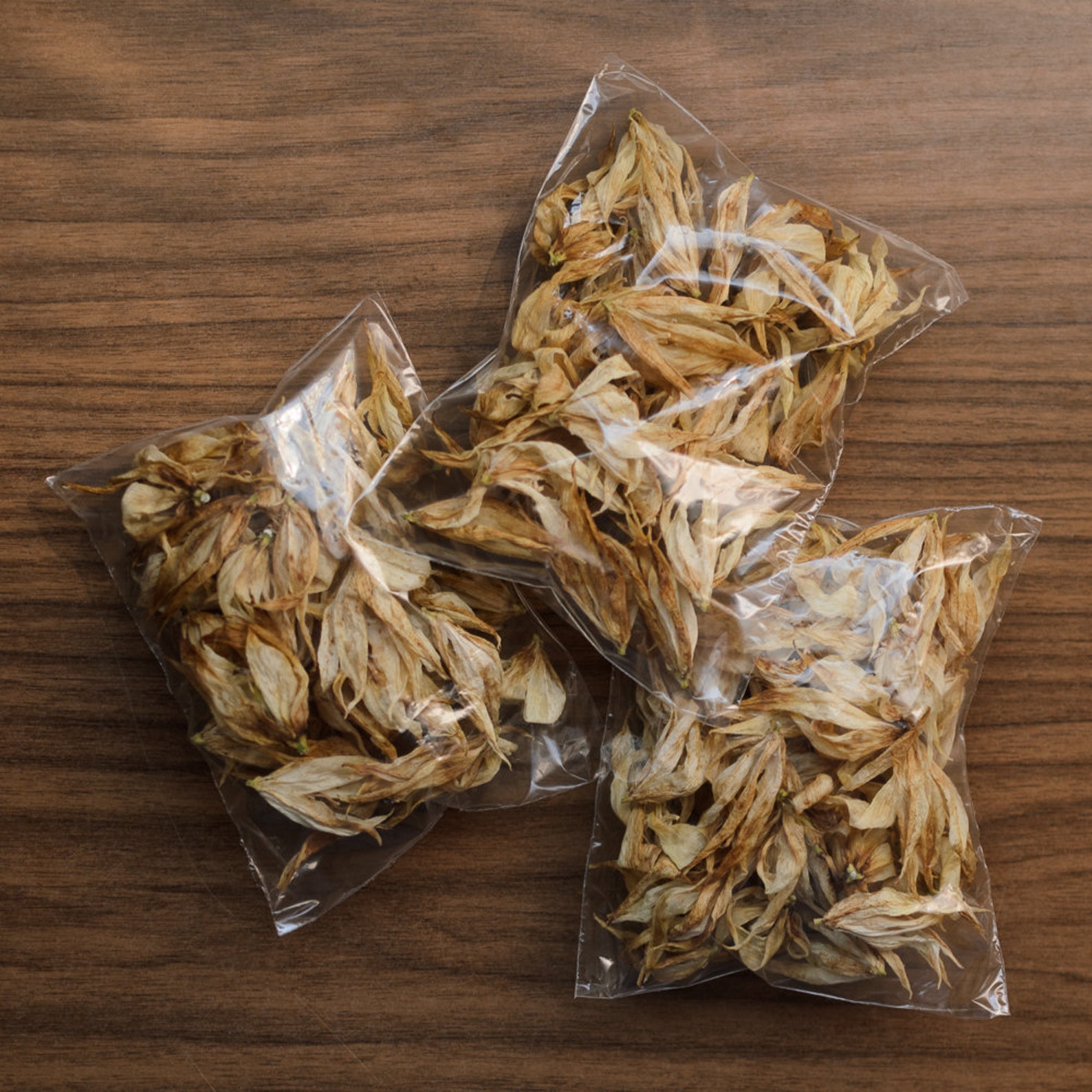 Dry Yucca Flowers 15 Flowers Etsy