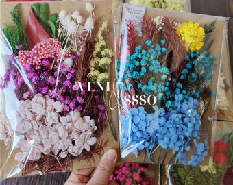 Comprar 1 bolsa de flores secas, relleno de resina UV, DIY, Molde de resina  epoxi, colgante, joyería decorativa, arte floral prensado Natural,  decoraciones florales