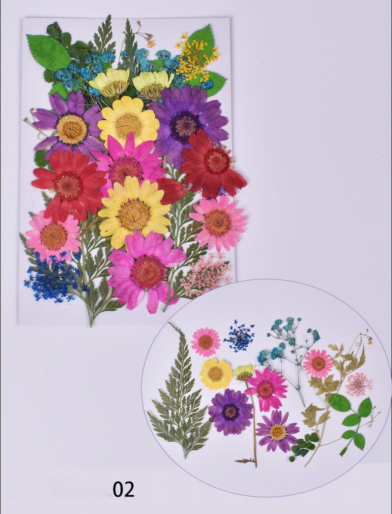 Dried Flower for Resin Dried Flower Art Pressed Flower Etsy UK