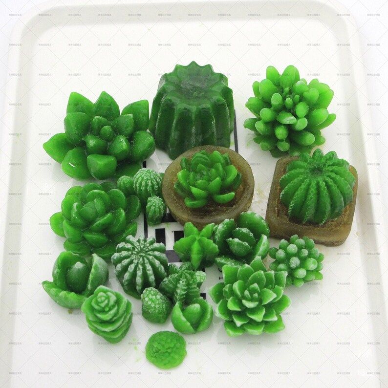 6pcs Succulent Resin Molds Cactus Epoxy Resin Molds Flower Etsy