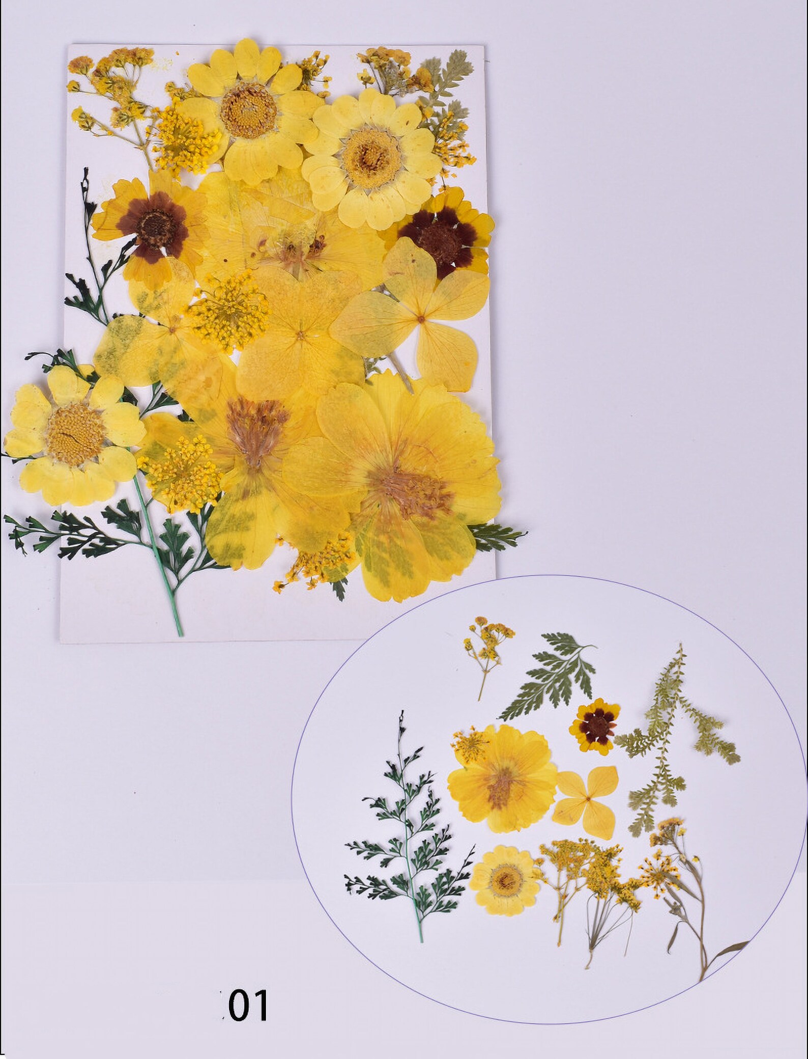 Dried Flower for Resin Dried Flower Art Pressed Flower Etsy