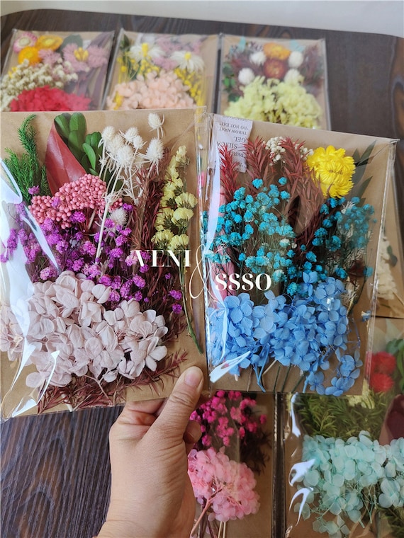 Flores secas prensadas, más de 170 piezas de flores secas mixtas para  resina, rellenos de resina floral seca natural a granel, accesorios de