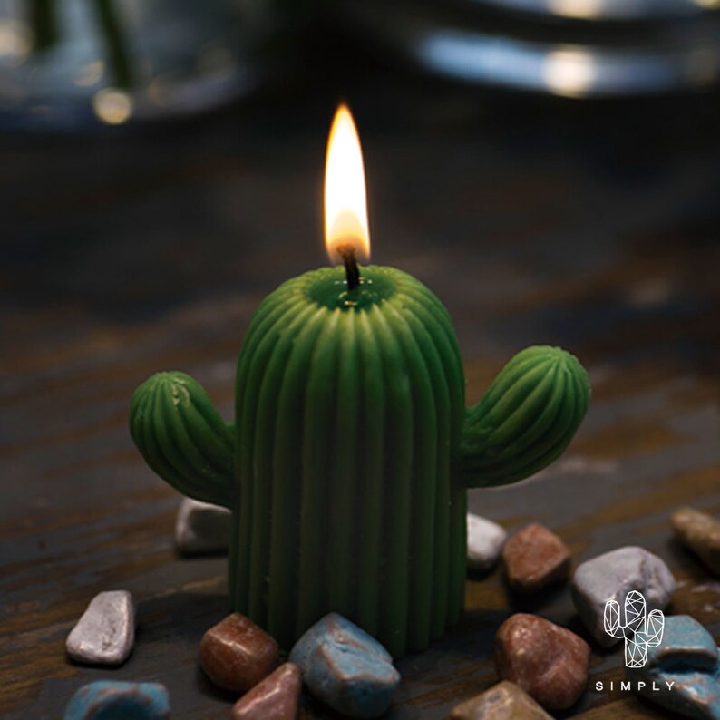 3D Cactus Candle Molds Cactus resin mold Silicone Cactus Etsy