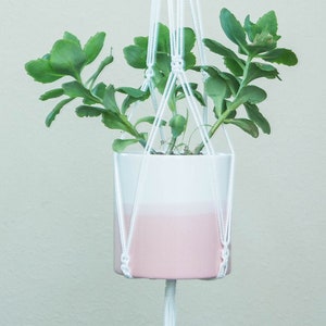 May include: A white macrame plant hanger with light green beads hangs from a ceiling hook. A pink and white planter with a green succulent plant is suspended in the hanger.