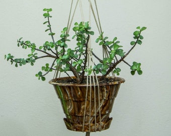 Hermosa planta de Macrame / colgador de la olla para la olla de tamaño mediano a grande - uso interior o al aire libre