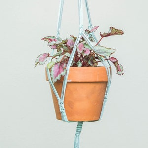 May include: A light blue macrame plant hanger with a terracotta pot and a leafy plant with pink and green leaves.
