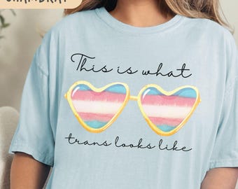 Trans Pride Tee - Protect Trans Kids - Pride Month - LGBTQ Pride Shirt - Subtle Trans Tee - Trans Gift - Trans Flag Colors - Trans Ally Top