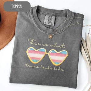 Transgender Pride Tee - Pride Month - LGBTQ Pride Shirt - Subtle Trans Tee - Trans Gift - Trans Flag Colors - Trans Ally Top