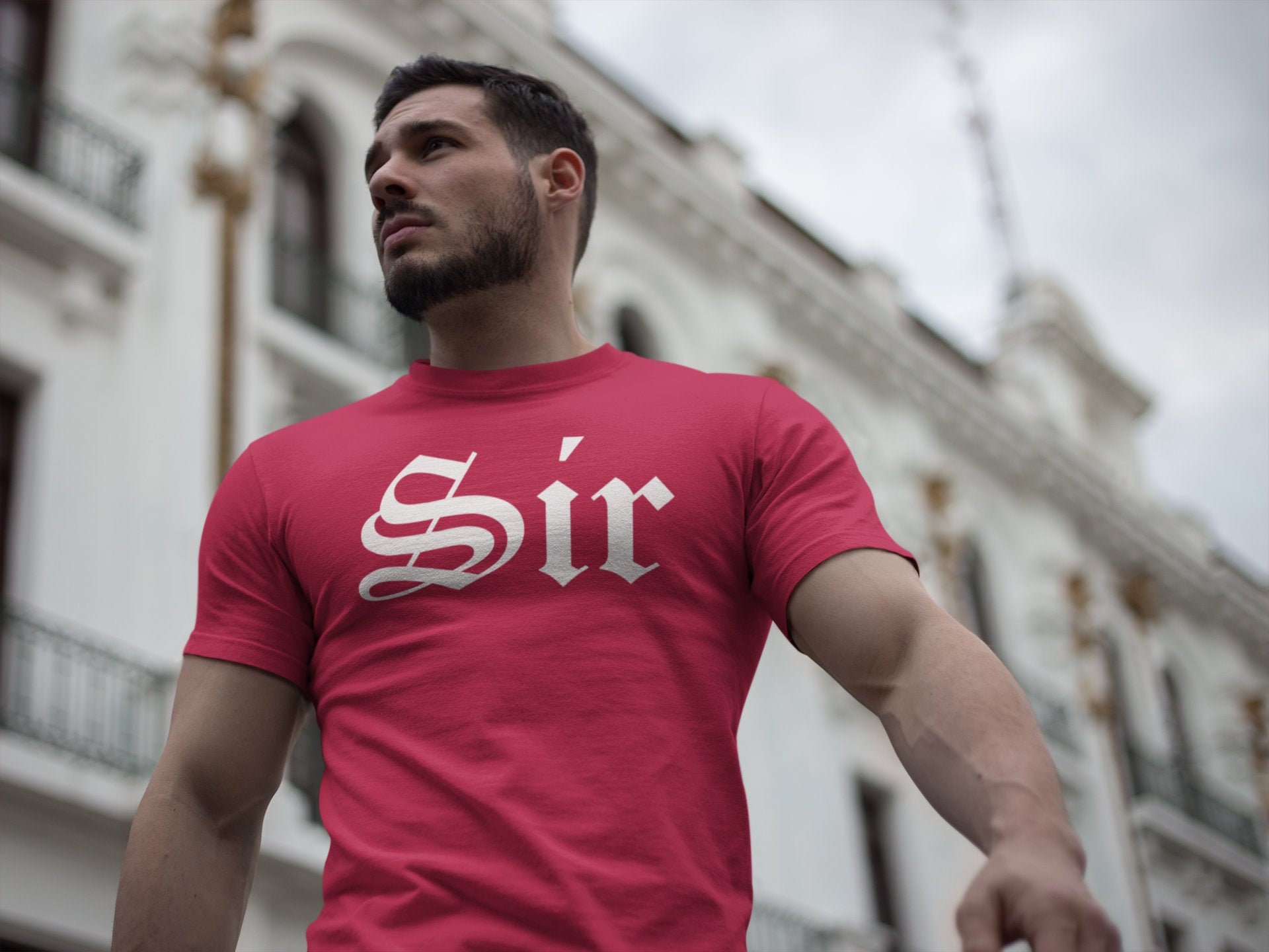 SIR Shirt, Dom Daddy, BDSM Master Gift For Dominant Daddy, Sub Dom Lifestyle, Gift For Sir, Yes Sir Thank You Sir, Dominant Shirt, Dom Daddy
