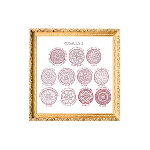 Op de afbeelding: Een ingelijste illustratie van 12 verschillende roosvensters uit kerken in Frankrijk en de Verenigde Staten. De titel van de illustratie is "Rosaces 3".