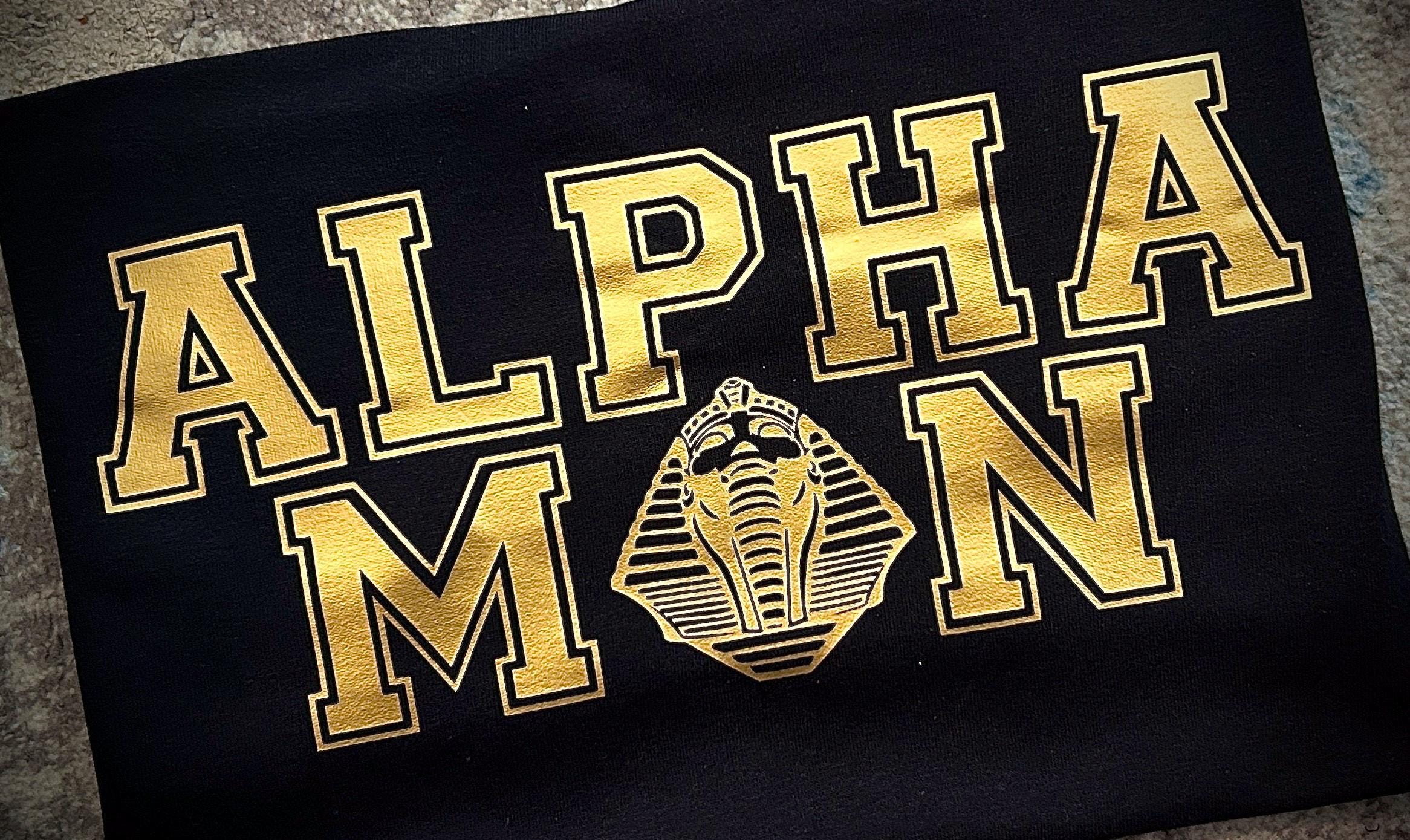 スウェット　半袖　60s 70s alpha phi フライタニティ スウェット 半袖 60s 70s alpha phi フライタニティ