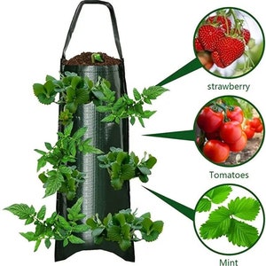 Hanging Strawberry Mint Tomato Grow Bag | Planter | Reusable | Easy Harvest