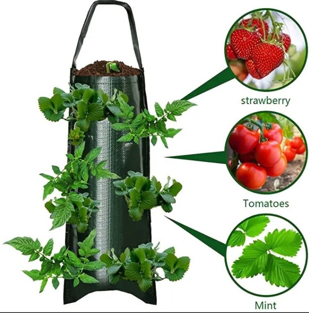Hanging Strawberry Mint Tomato Grow Bag Planter Reusable Etsy