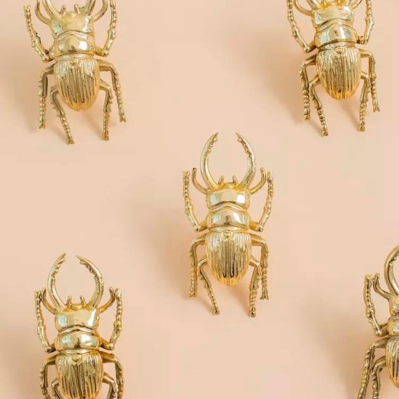 Gold Stag Beetle Knob Bug Shaped Cabinet Drawer Pull Insect Etsy
