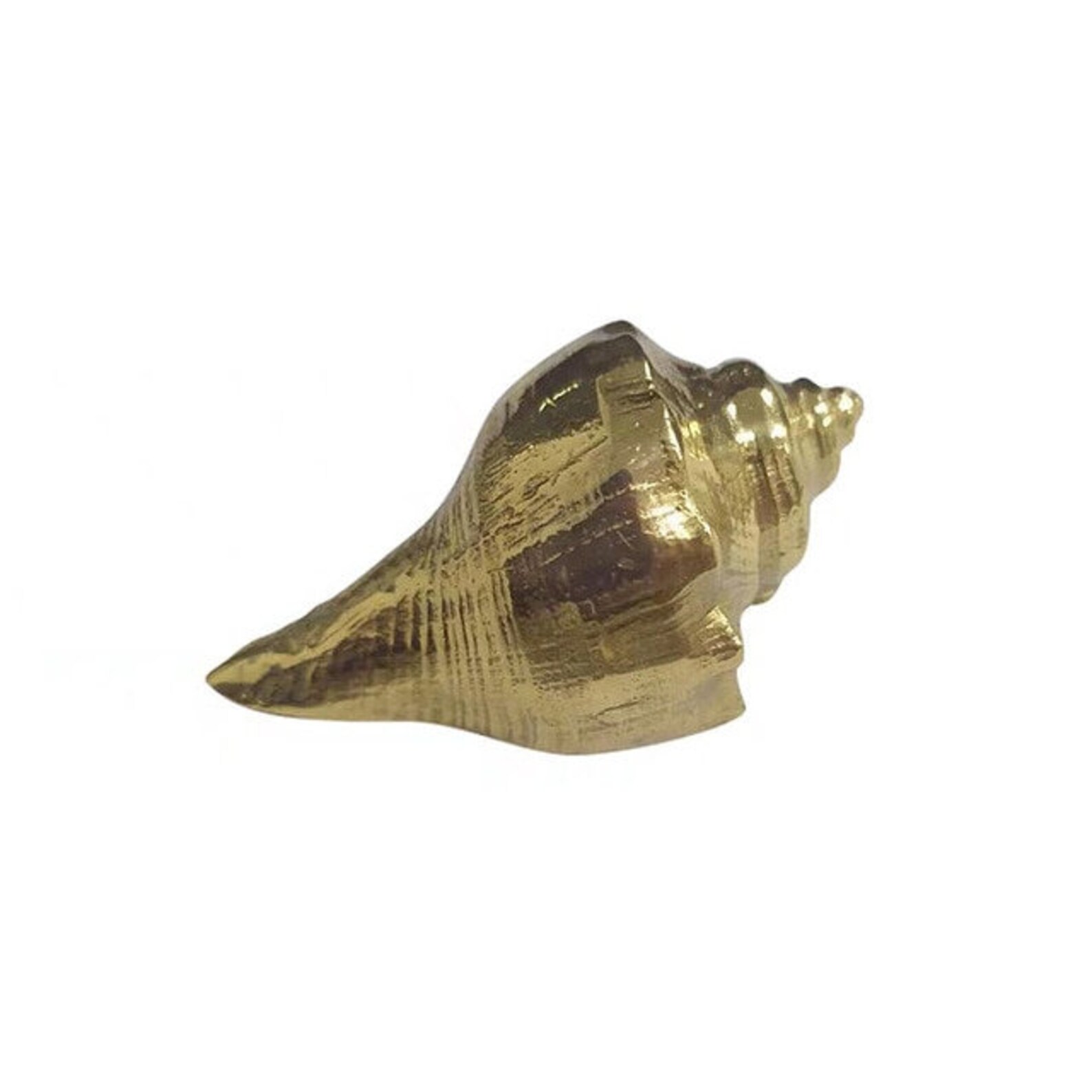 Gold Solid Brass Conch Shell Pull/seashell Shaped Door Etsy