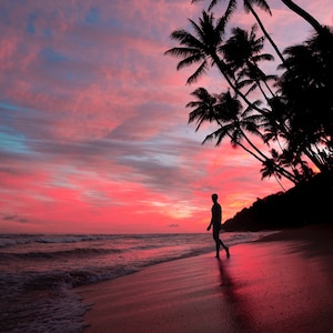 1,000 Piece Jigsaw Puzzle For Adults : silhouette male beach during sunset with amazing clouds pink sky Pz 049