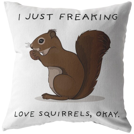 squirrel pillow