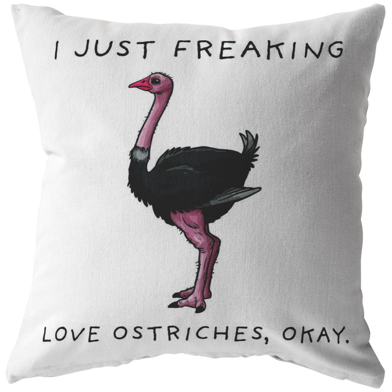Friend Gift. Friend Pillow Okay Pillow I Just Freaking Love Ostriches Ostrich Pillow,Ostrich Gifts