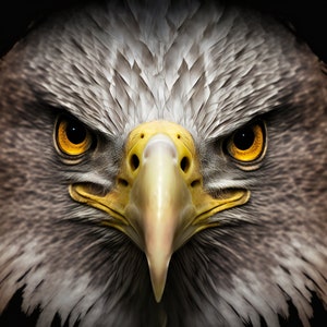 1,000 Piece Jigsaw Puzzle for Adults: isolated intense eagle stare Pz 075