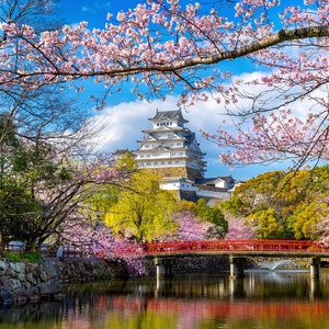 1,000 Piece Jigsaw Puzzle For Adults : cherry blossoms castle himeji japan Pz 043