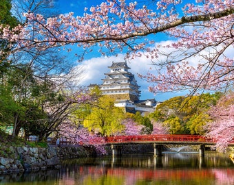 1.000 stukje legpuzzel voor volwassenen: kersenbloesems kasteel himeji japan Pz 043