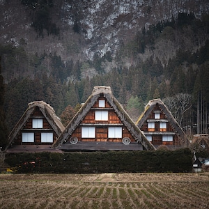 1,000 Piece Jigsaw Puzzle For Adults : beautiful shot buildings shirakawa japan Pz 045