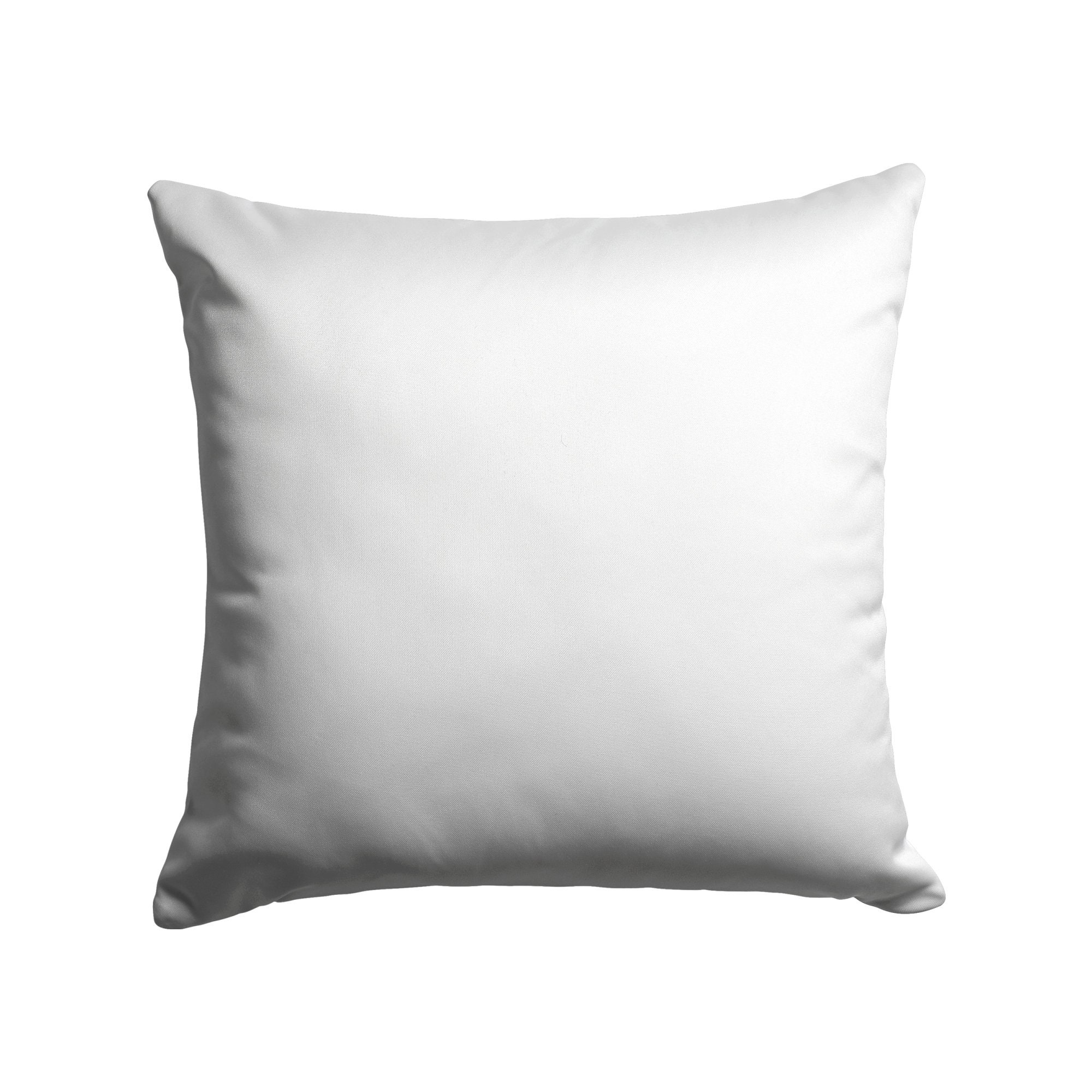 Oubonun 18 x 18 Pillow Inserts (Set of 2) - Throw Pillow Inserts