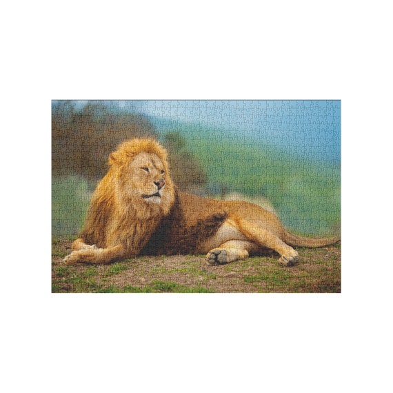 1,000 Piece Jigsaw Puzzle for Adults : Lion Male Having Rest Lying