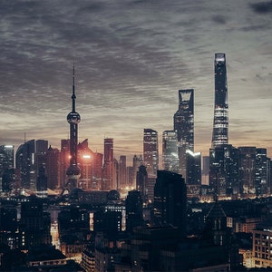 1,000 Piece Jigsaw Puzzle For Adults : Shanghai skyline
