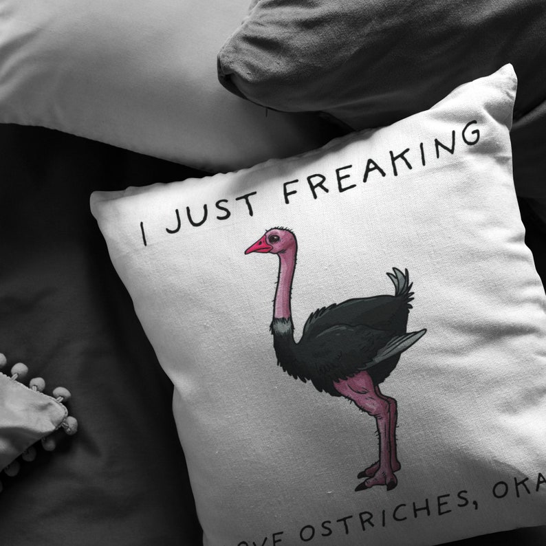 Friend Gift. Friend Pillow Okay Pillow I Just Freaking Love Ostriches Ostrich Pillow,Ostrich Gifts