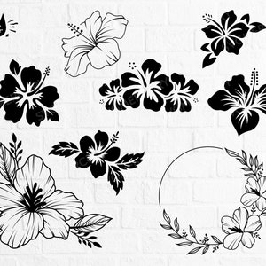 Hibiskus Bundle Svg, SVG PNG und EPS, Clipart Design Element, Cricut, Cut File Druckbereit